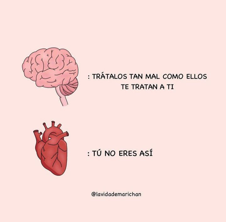 Escrito Ideal (@escrito_ideal) on Twitter photo 