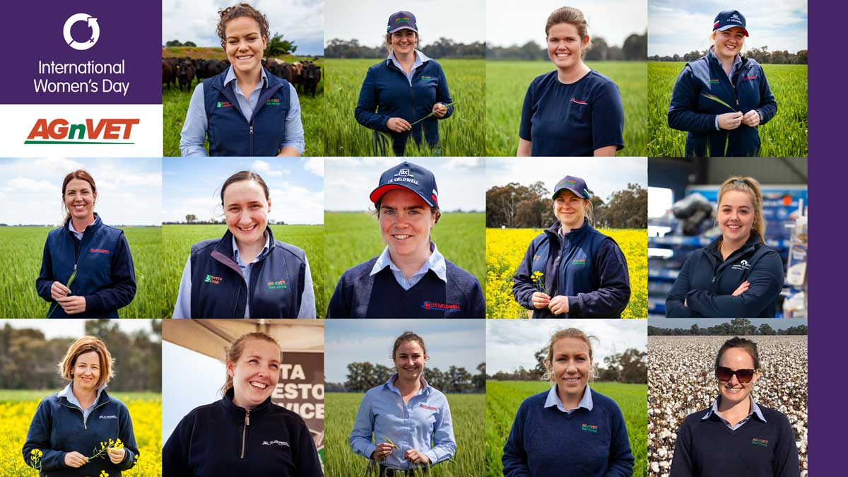 We can all play a part in embracing gender equity &amp; make it part of our DNA | Equity means creating an inclusive work place.  At IKC AGnVET we value differences in experiences and backgrounds as we actively foster the respect &amp; inclusion of all our employees. #IWD2023