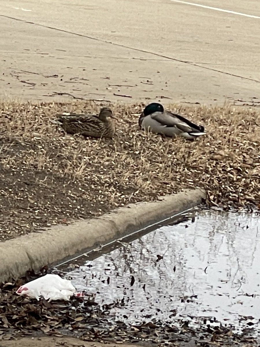 Jackson Overstreet tweet media