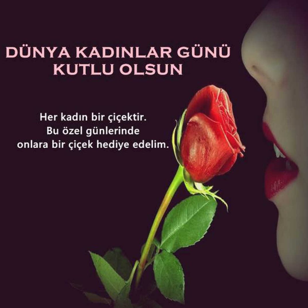 Cahit Nene (@nenecahit) on Twitter photo 