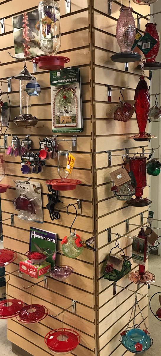 frontrangebird's tweet image. TONIGHT!!!  S'mores + Hummingbird Chat! - mailchi.mp/frontrangebird…