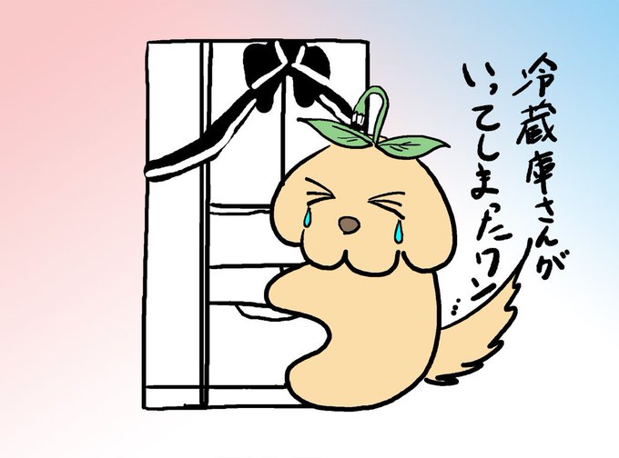 本日残念ながら我が家で長年活躍されてきた冷蔵庫さんが天に召されてしまいました...😢
今まで活躍してくれてありがとうございました...
安らかにお眠りください...😌

今日は電気屋さんに行って来よう...😔
冷蔵庫高い～。😭 