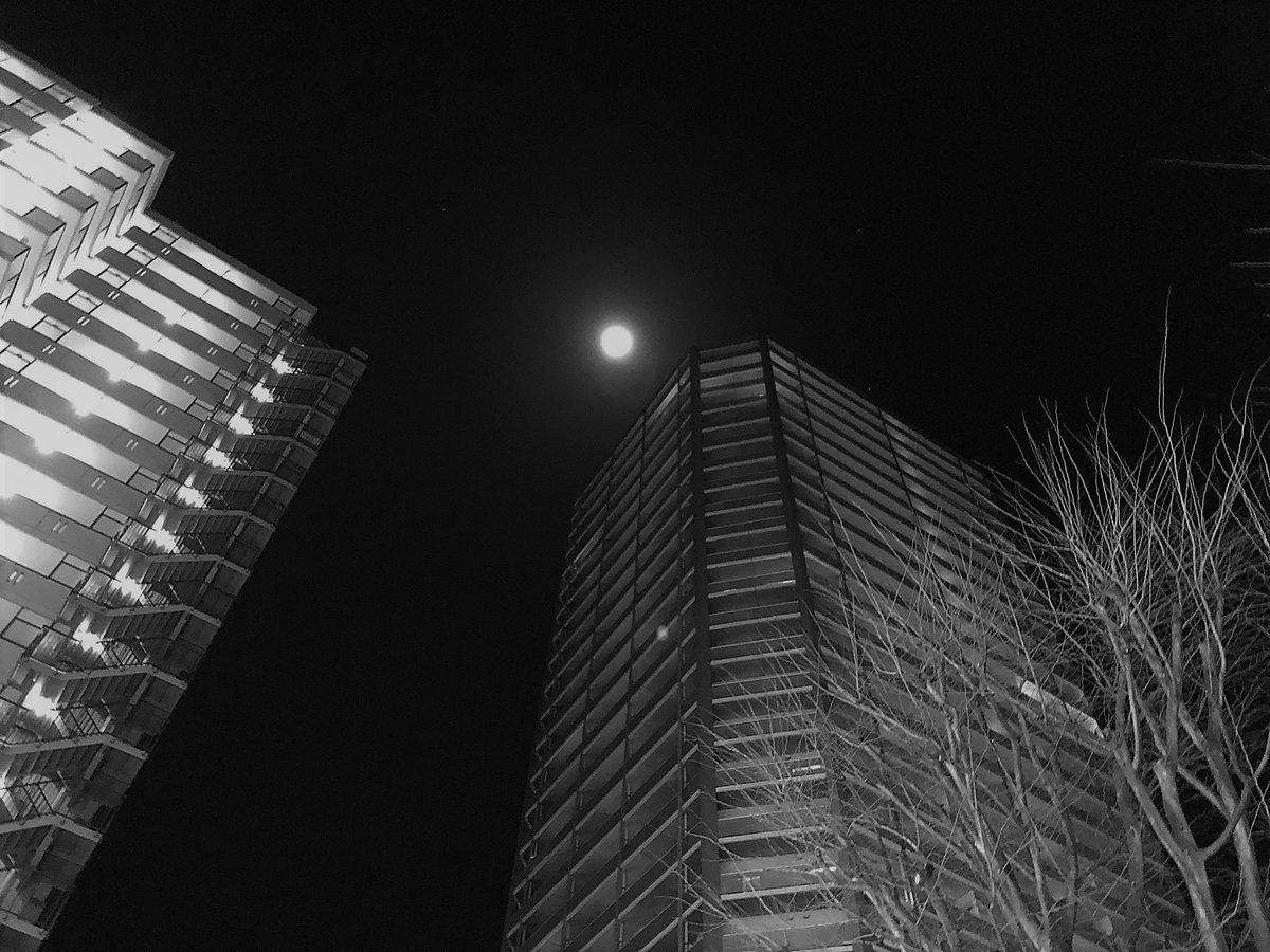 SouToku_4970's tweet image. ／
☀️　水曜日、こんにちは！
＼

昨夜は、

３月の満月・「ワームムーン」でしたね🌕

#こんにちは
#Goodafternoon

#Доброгодня（🇺🇦　ドーブロゴ ニャー）