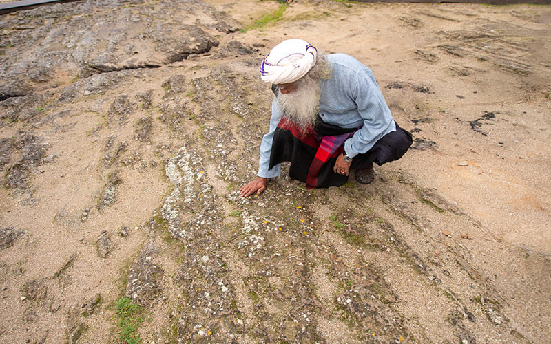 SadhguruJV's tweet image. What is good for the soil is always good for your body because your body is just an embodiment of soil. #SadhguruQuotes
