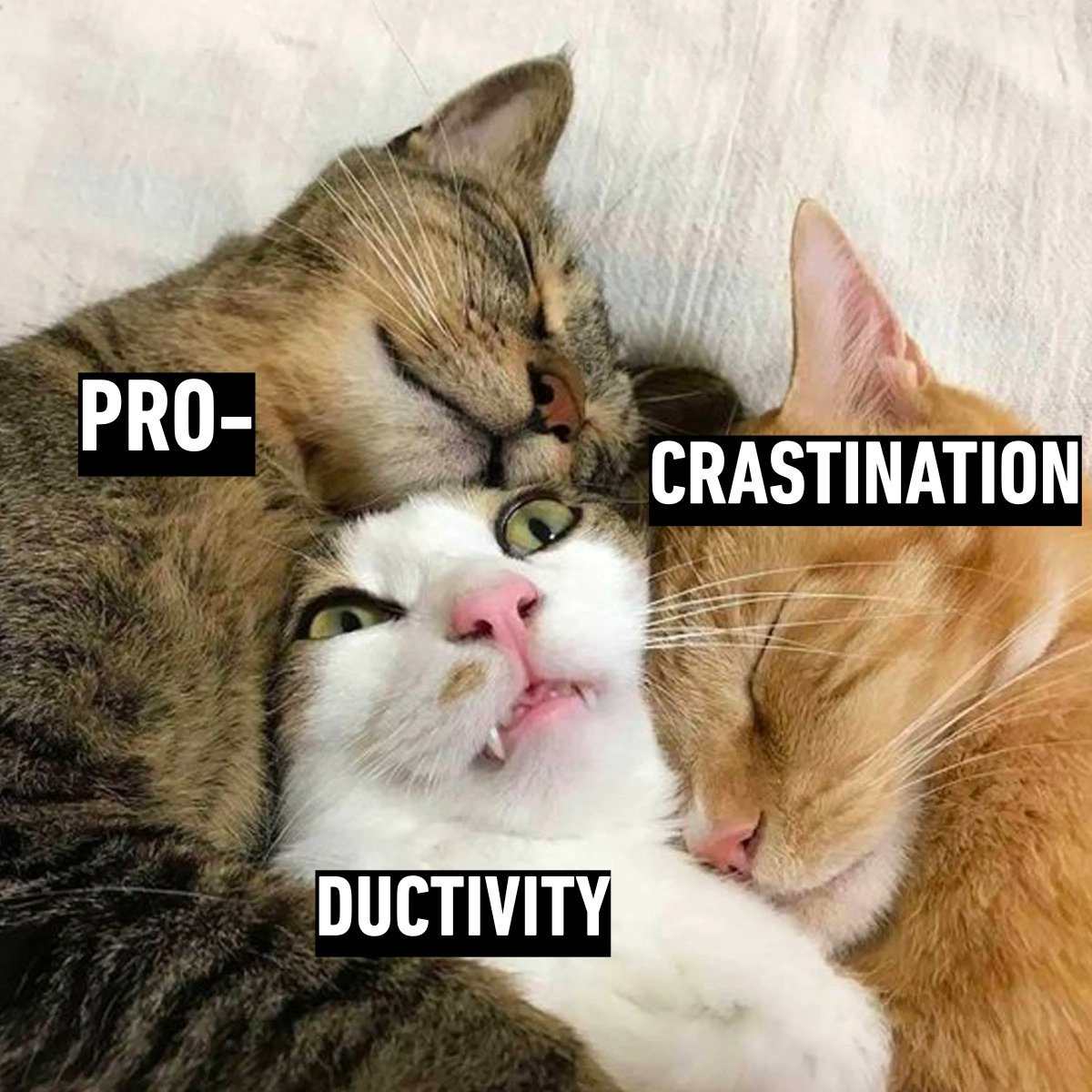 no work, just sleep

📸 go_home_loa | IG