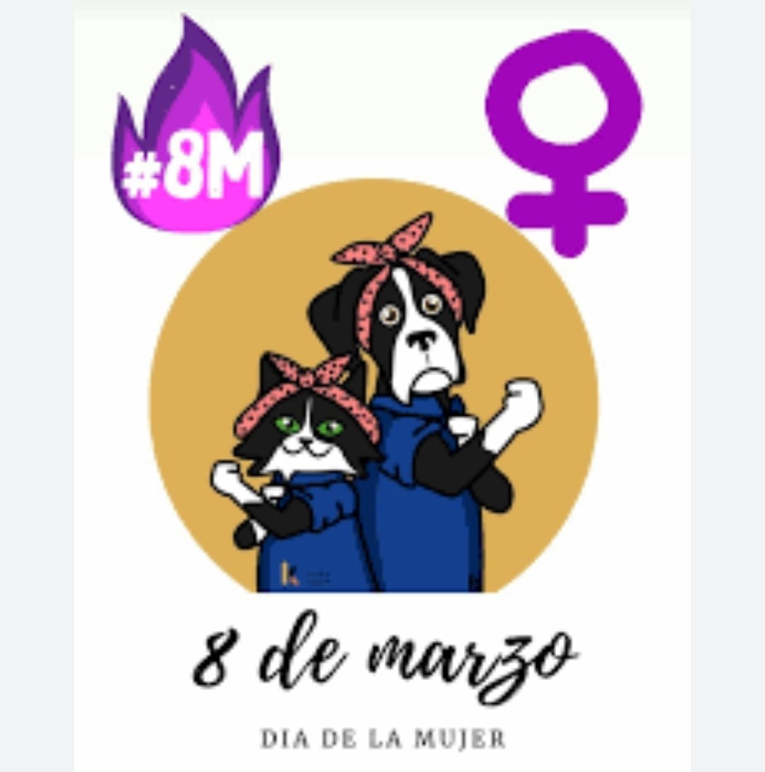 Maria Quiroga (@mariperritos2) on Twitter photo 