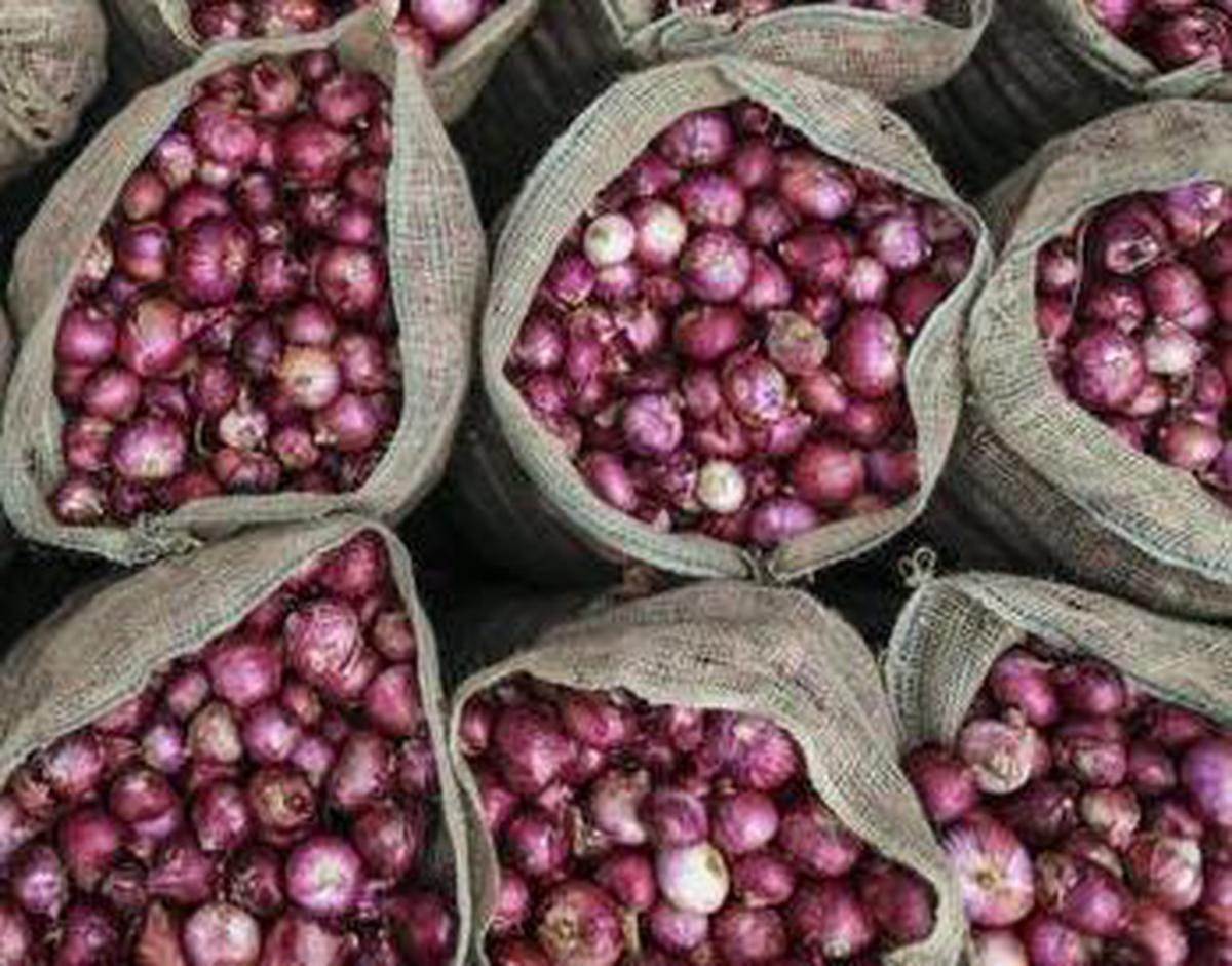 NAFED to begin procurement of Kharif Onion in Gujarat