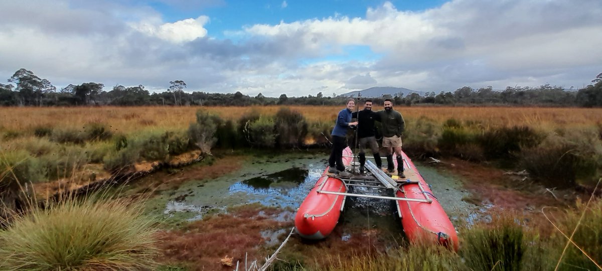 Anthony Romano 🏳️‍🌈 tweet media