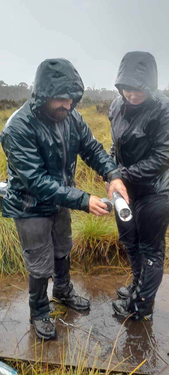 Anthony Romano 🏳️‍🌈 tweet media