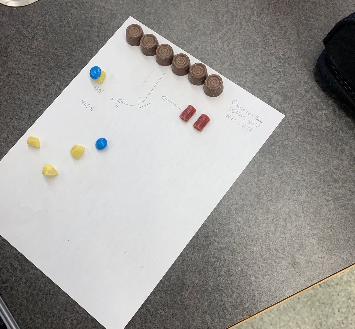 What’s a better way to learn about glycolysis than with C A N D Y? 🌱🍫#biochat #iteachscience #scienceEd