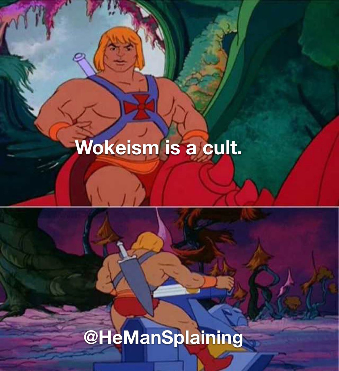 HeManSplaining's tweet image. @HeManSplaining Wokeism