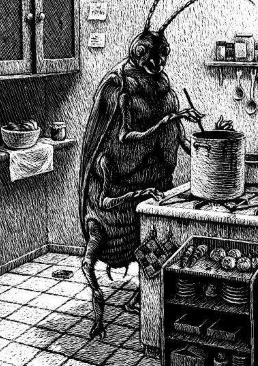 JollyWenus tweet media