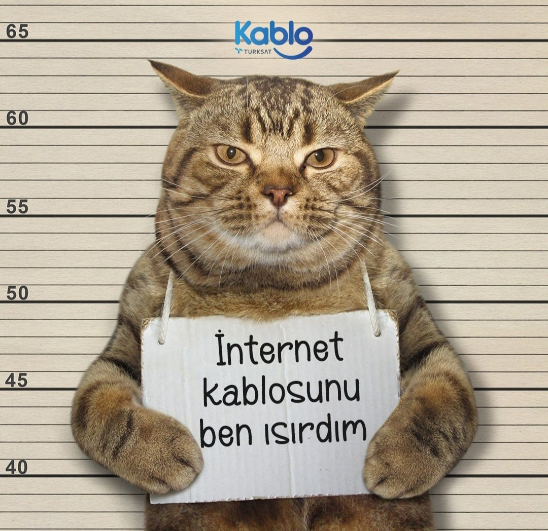 GÜLSÜM HACI ÇUBUKCU tweet media