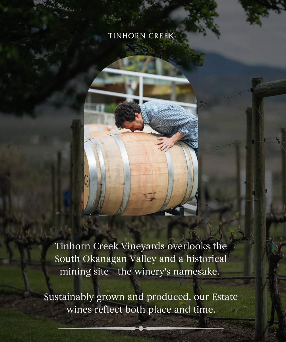 Did you know that Tinhorn Creek Vineyards overlooks a historical mining site – the winery’s namesake? Warm up this winter with a rich, full-bodied glass of Tinhorn Creek wine. Sustainably grown and produced, our Estate wines reflect both place and time. #TinhornCreek #BCVQA