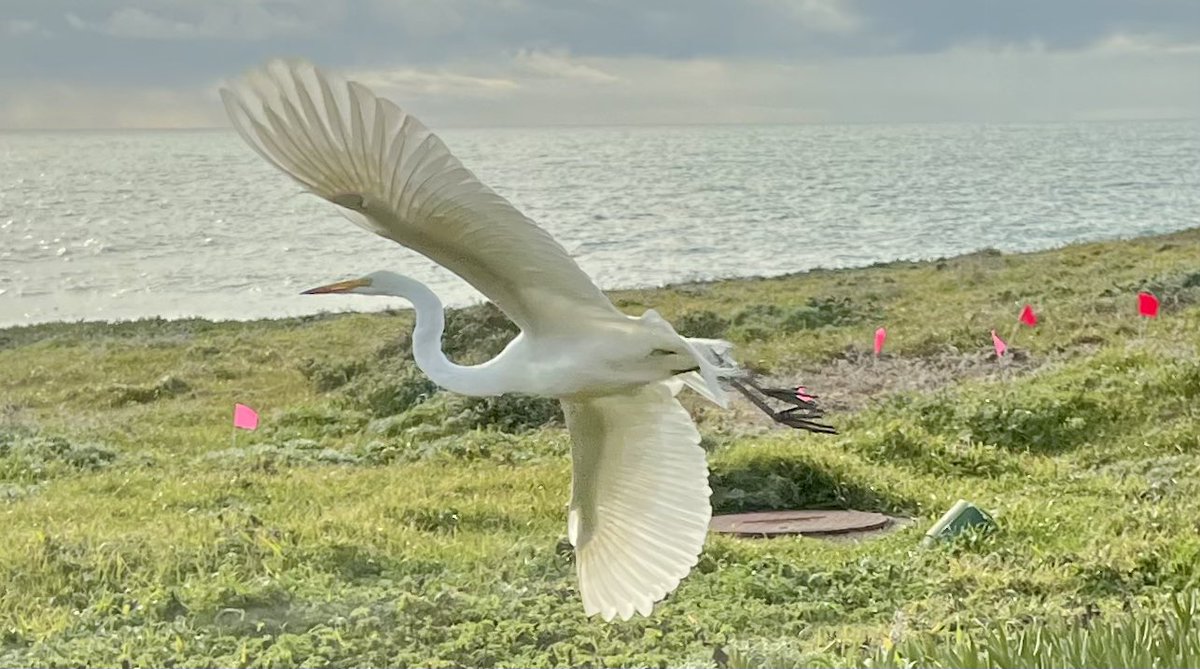 Bodega Marine Reserve - need I say more?