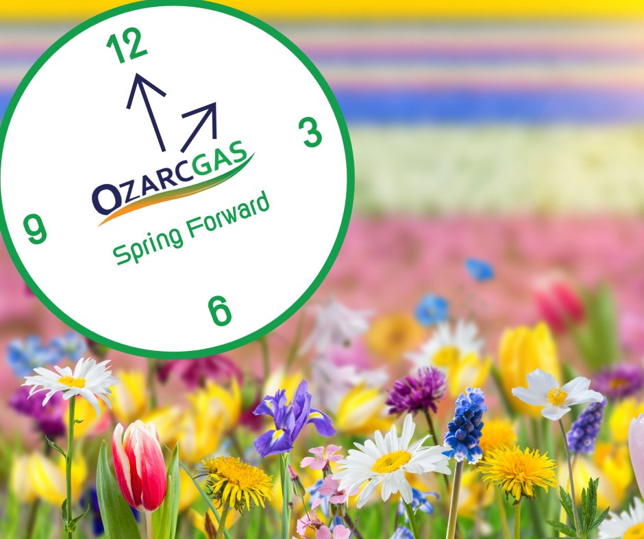 OzArcGas's tweet photo. Daylight Savings Time begins at midnight, remember to Spring Forward! 🌷 🕑#springforward #changeyourclocks https://t.co/ZOM8brraqH