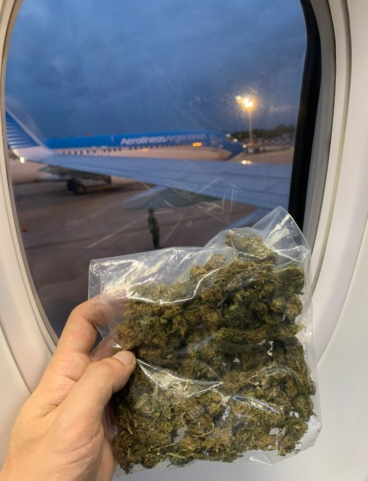 CosechaLibre's tweet photo. 📋 SORTEO DE 2 PERMISOS PARA CULTIVAR - REPROCANN✔️

Requisitos:

- MG ❤️
- Seguir a @CosechaLibre

Asi de sencillo participas. Mucha suerte a todos! 

2 GANADORES anunciados el Lunes 13/03 https://t.co/j3DWXp0383
