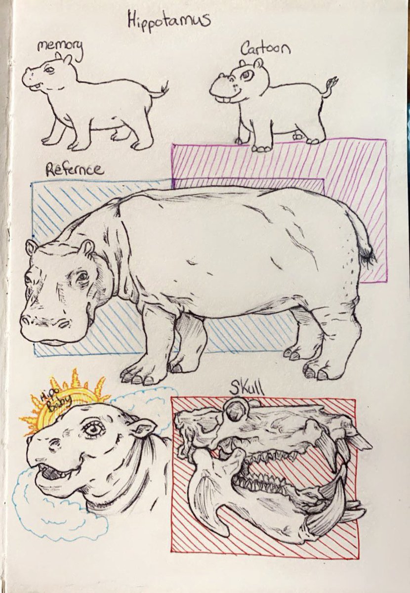 FYCArtstudio's tweet photo. Been really digging my sketches #sketchbook #sketches #hippo #sketch https://t.co/nH4vCtbn6O