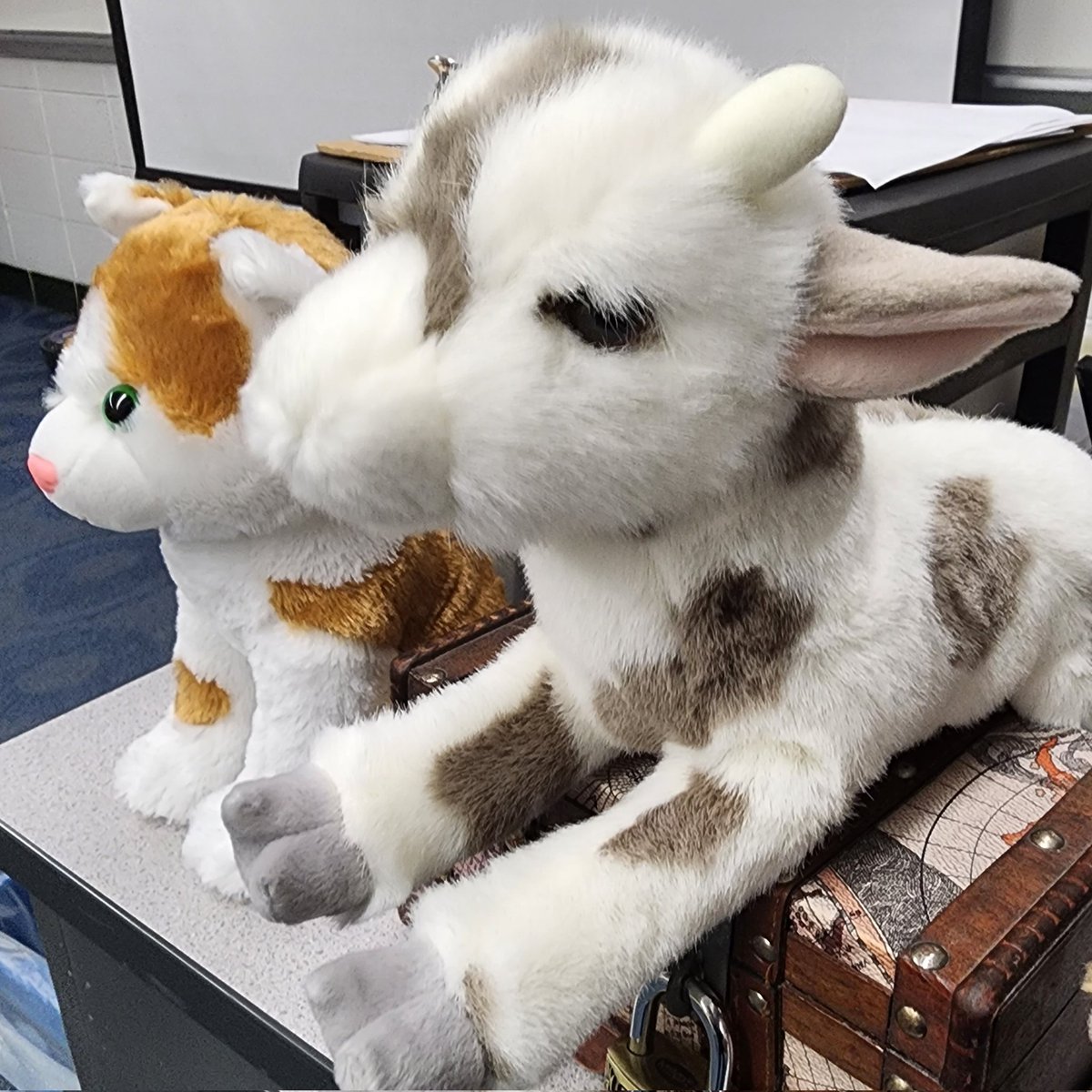 Christopher Frye 🆗️ tweet media