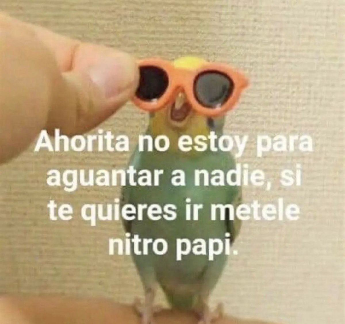 El Guarromántico (@guarromantico_) on Twitter photo 