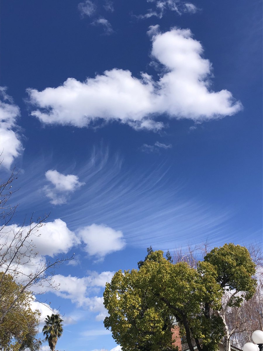 liatnoten's tweet photo. What kinds of clouds are these? Spotted at 1:45 pm today in San Jose. @NWSBayArea @RobMayeda https://t.co/tw546jswK1