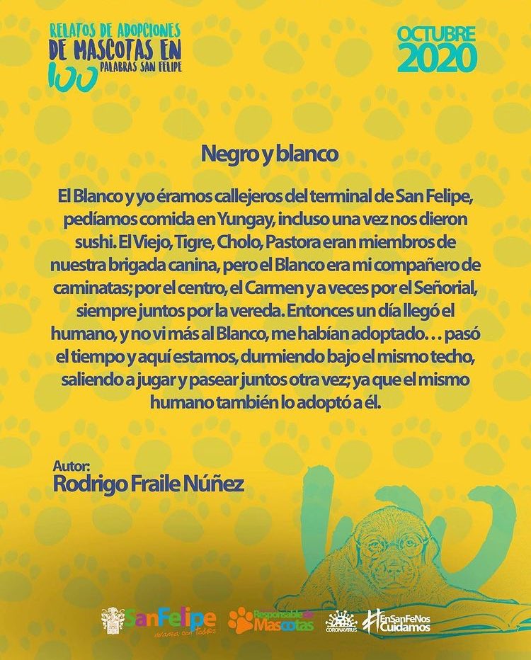 Rodrigo ⛓️ tweet media