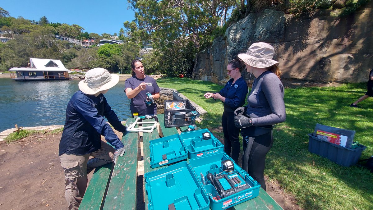 We are so fortunate to have so many great women in our #LivingSeawalls team. But for today's #IWD2023 consider supporting causes to help women around the world who are less fortunate to #EmbraceEquity & further the mission of @womensday!