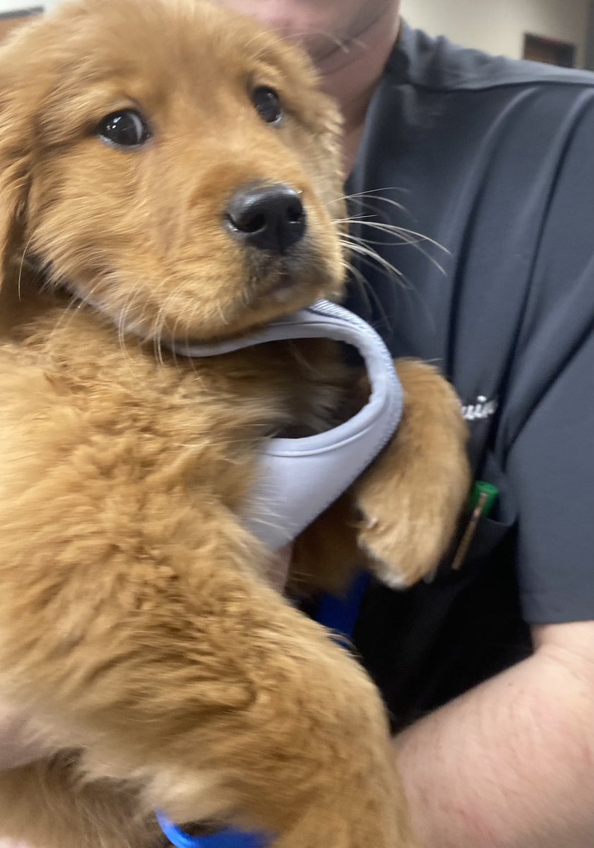 Big Tit Energy on Twitter "The grape eater is back to check kidney