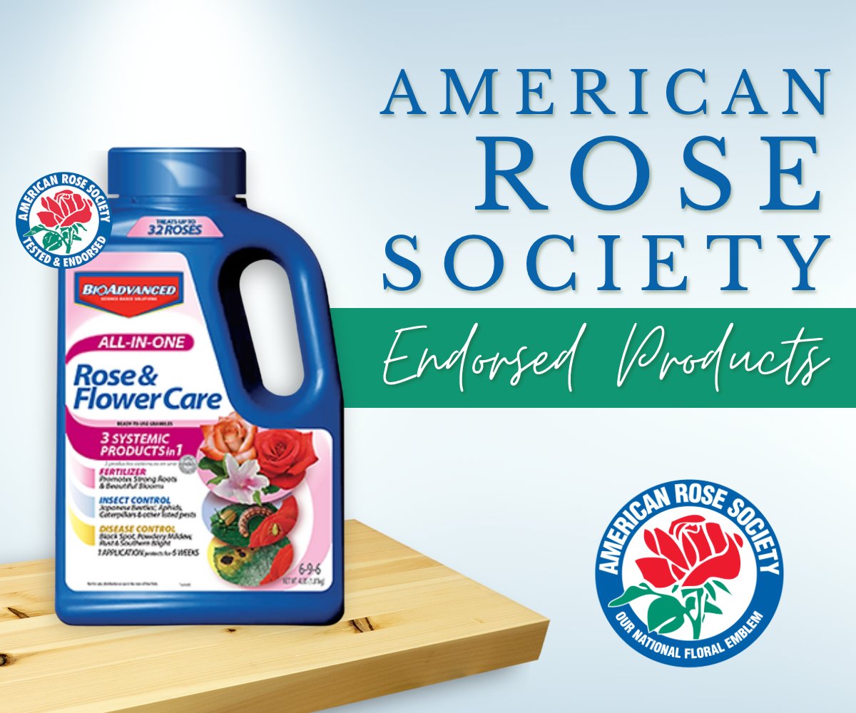 Did you know we’ve got recommendations on great products? 🤔

BioAdvanced All-In-One Rose and Flower Care: takes the guesswork out of application with 3 products in 1. Protects against invasive insects &amp; diseases. 

👉 See More &amp; Purchase Here: bit.ly/3Jnd7bi