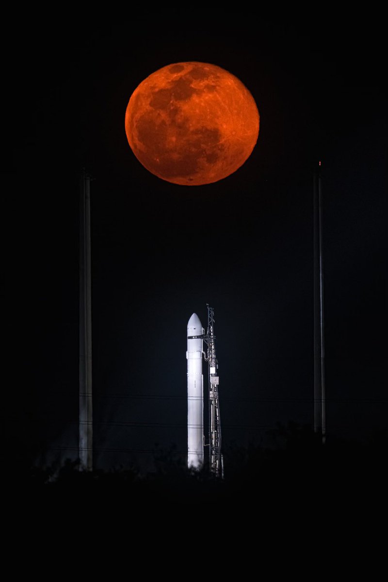 On the last sleep before our big launch day, a bedtime story 😌 📕
Goodnight moon. 🌝 
Goodnight rocket 🚀 [that’ll be] jumping over the moon.