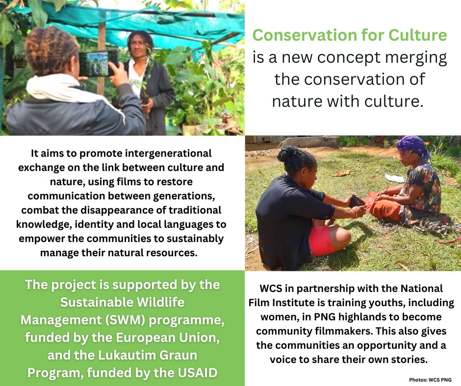 With support from the #SWMProgramme, funded by @EU, and the @usaidpnglgp, funded by @USAID, WCS PNG supports youths, including #women, in PNG highlands to become community filmmakers for the #ConservationForCulture project. #IWD #DigitALL 
Learn more: bit.ly/3Zu6x8M