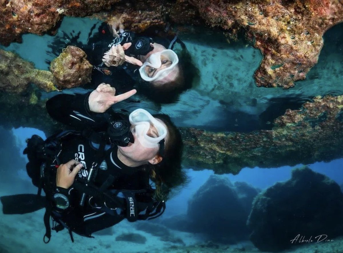 diveSSI's tweet photo. Scuba diving offers a great chance to reflect on life. Do you agree?

@alberto_diaz_sub 📸

#wearessi #scubadiving #selfreflection #reflection https://t.co/XGTYGS0feN