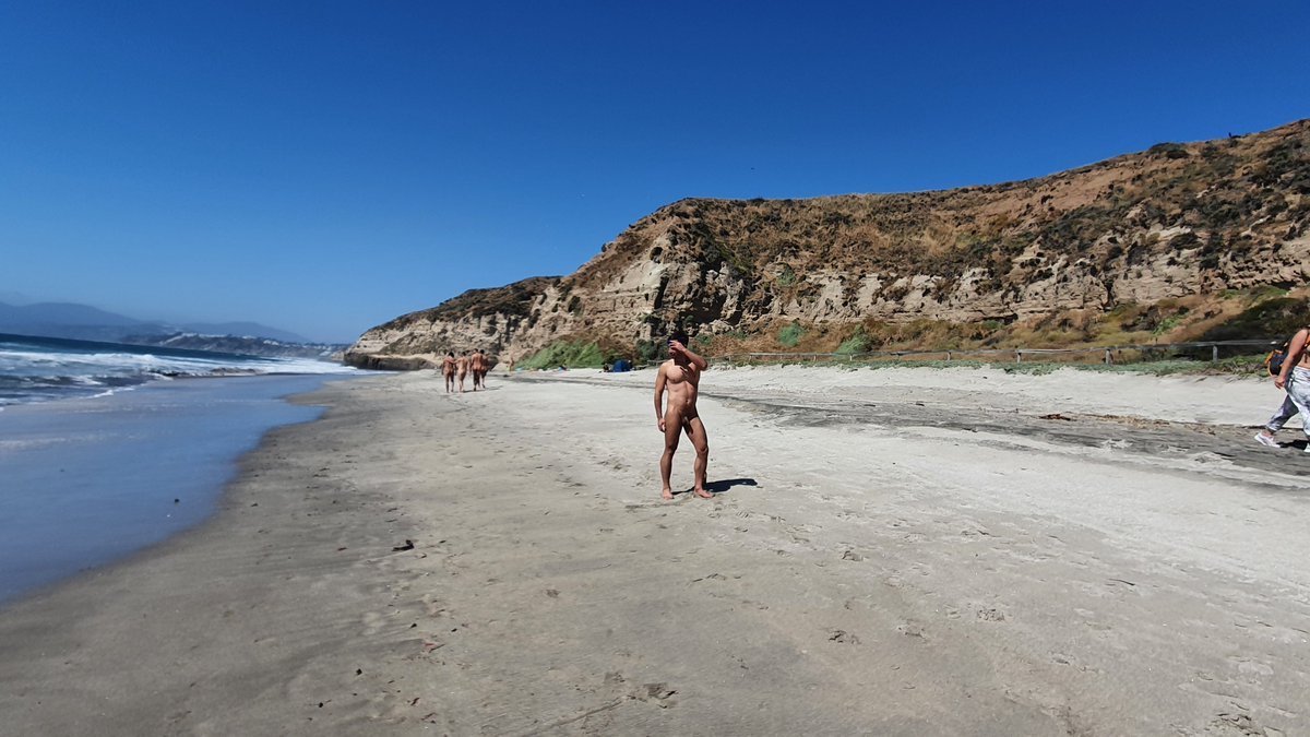 freenude tweet media