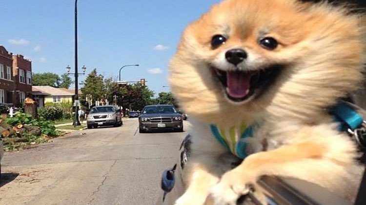 penalberism's tweet image. daylight saving time this weekend!! goodbye seasonal depression, hellooo more sunlight