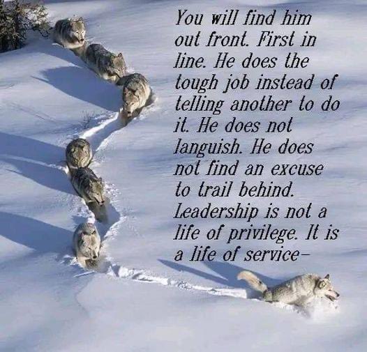 Jenna Lamb (@jenna_lamb25) on Twitter photo 