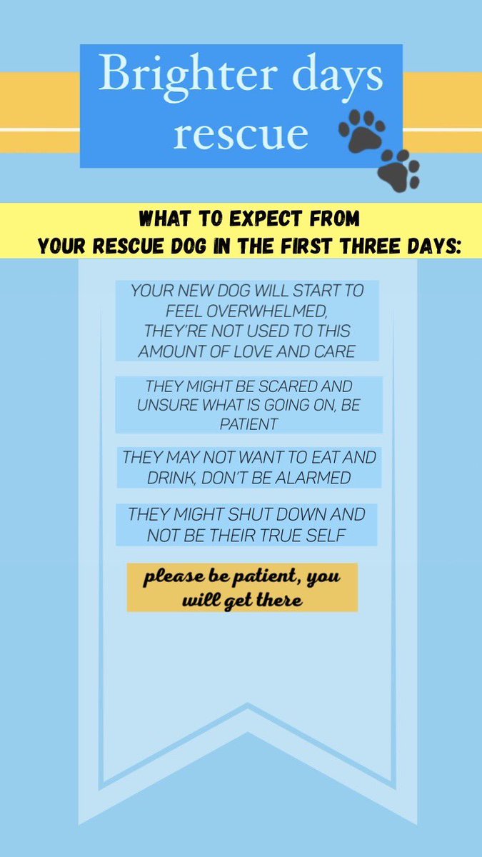 💛Brighter Days Rescue dogs💛 tweet media