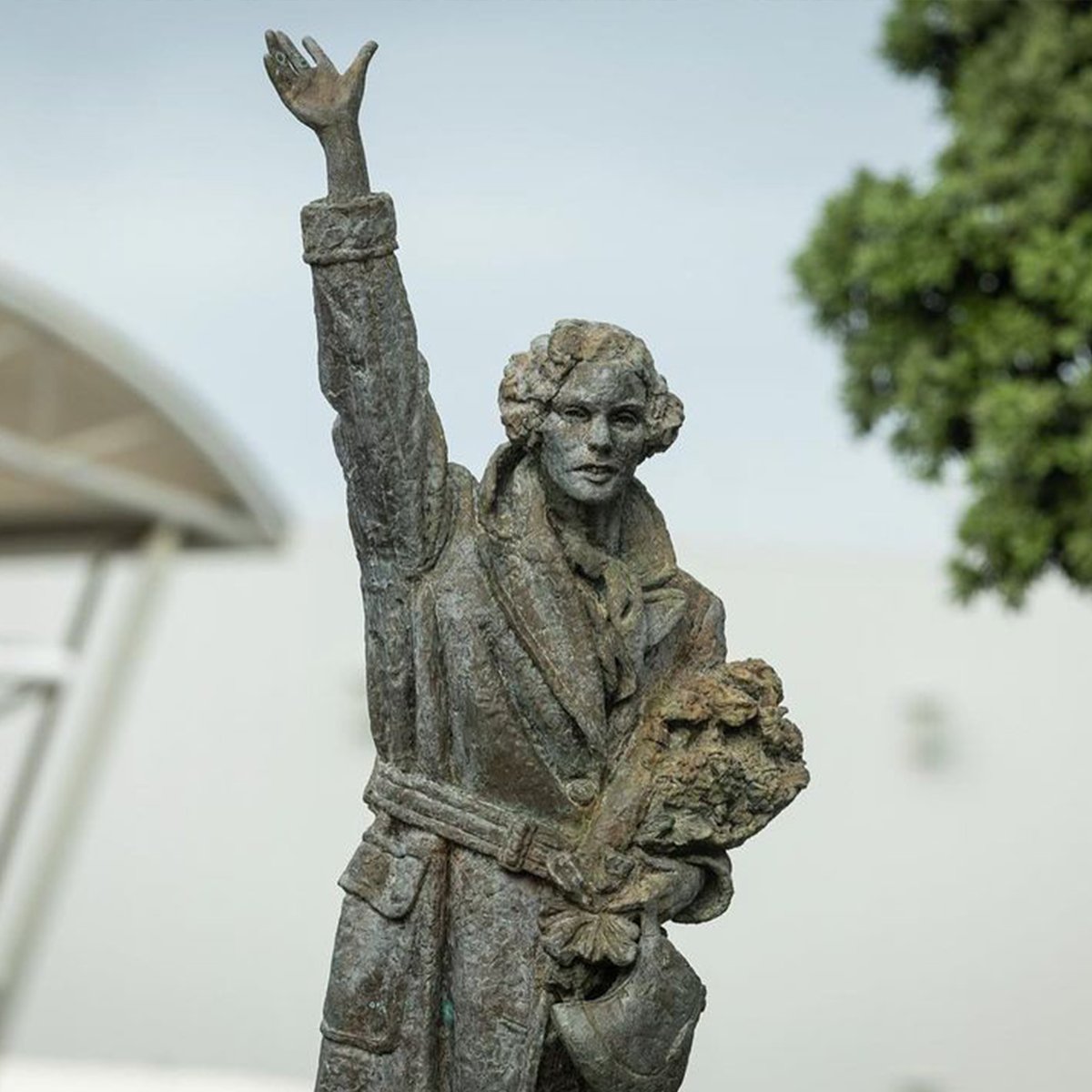 New Zealand 🇳🇿 tweet media