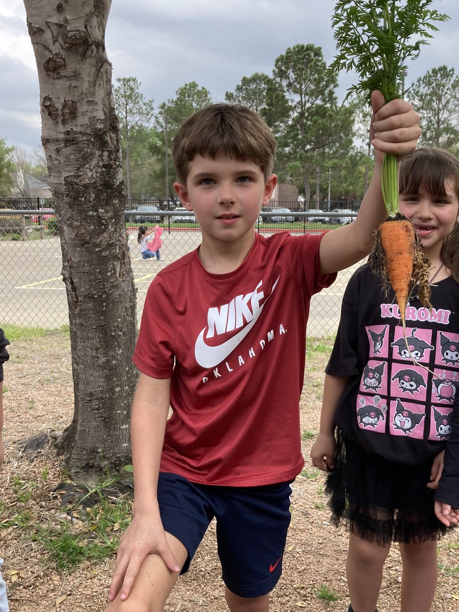 Celise Hamann (@mshamannrtgg) on Twitter photo First graders at <a href="/KirkElementary/">Kirk Elementary</a> enjoyed harvesting carrots and learning about tomatoes! <a href="/readygrowgarden/">Ready to Grow Garden</a> 🥕🍅 First graders at <a href="/KirkElementary/">Kirk Elementary</a> enjoyed harvesting carrots and learning about tomatoes! <a href="/readygrowgarden/">Ready to Grow Garden</a> 🥕🍅