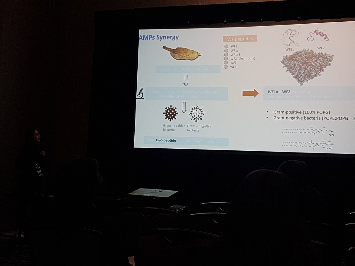 Lorenz Lab (@lorenz_lab) on Twitter photo Today <a href="/MirunaSerian/">Miruna Serian</a> presented her work on the synergistic behaviour of Winter Flounder antimicrobial peptides at the #APSMarch2023 to a full room. <a href="/LIDo_DTP/">LIDo</a> <a href="/KCL_Physics/">KCL Physics</a> Today <a href="/MirunaSerian/">Miruna Serian</a> presented her work on the synergistic behaviour of Winter Flounder antimicrobial peptides at the #APSMarch2023 to a full room. <a href="/LIDo_DTP/">LIDo</a> <a href="/KCL_Physics/">KCL Physics</a>