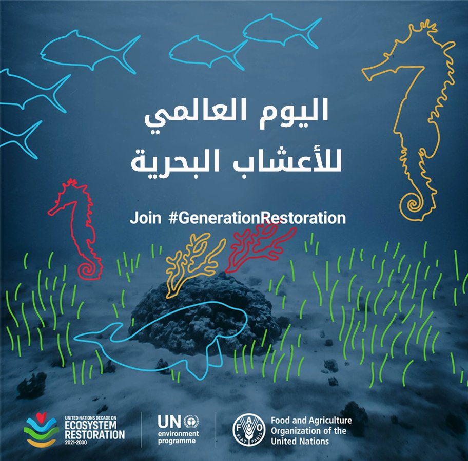 1 مارس
اليوم العالمي للأعشاب البحرية 

من أجل تسليط الضوء على الحاجة الملحة إلى إذكاء الوعي على جميع المستويات، حيث تُفقد سنويا نسبة 7 في المائة من الأعشاب البحرية في أنحاء العالم. وهذا ما يعادل مساحة ملعب كرة قدم في كل 30 ثانية