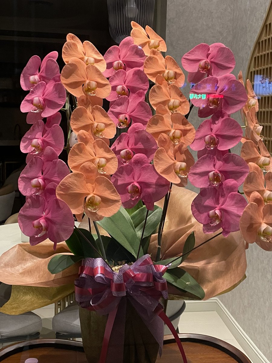 歐陽健勝 (@orthopaedicsur6) on Twitter photo 