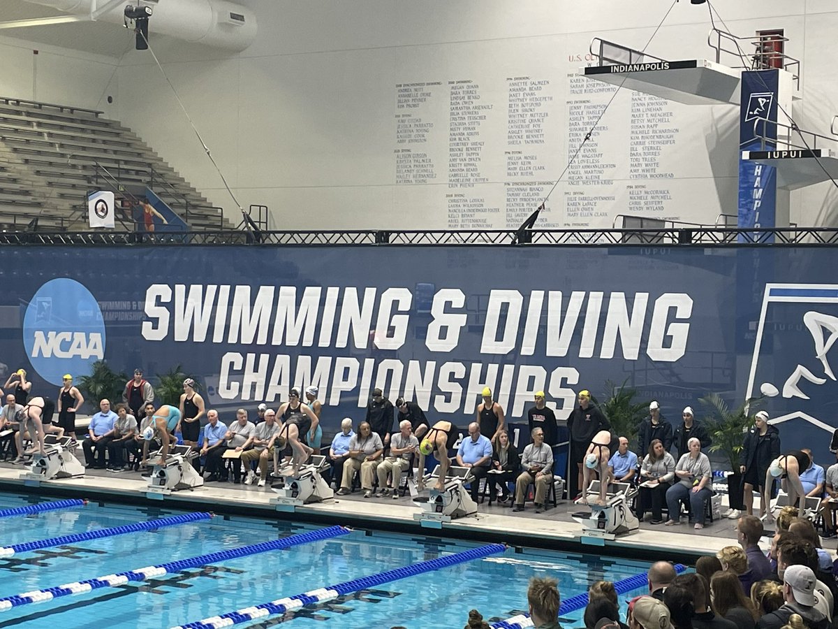 Kelley Kish tweet media