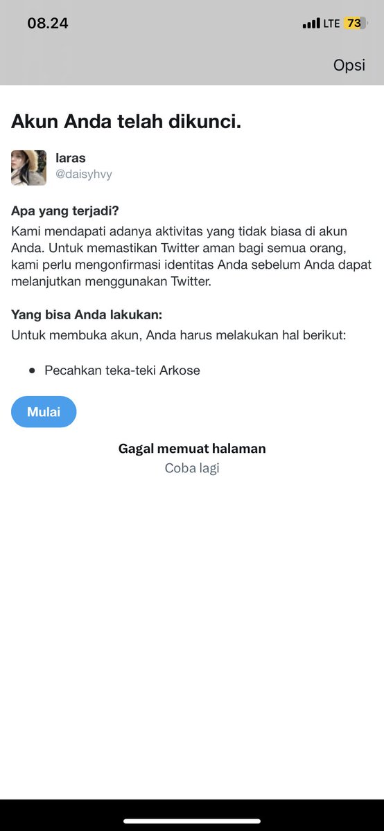 laras tweet media