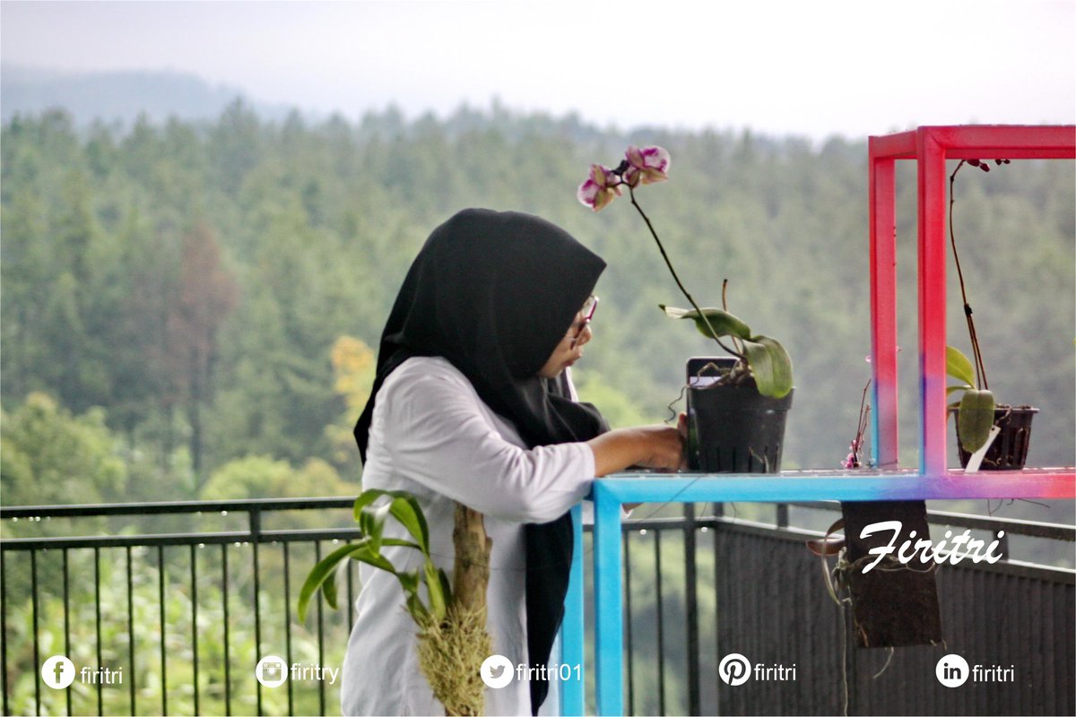 Firitri01's tweet photo. Memakai hitam putih pun sekitar masih penuh warna...itulah Perempuan.

Nanti saya akan bercerita tentang perempuan yang pernah mewarnai Mojokerto di era 80-an..namanya Siti Fadillah.merubah tatanan Mojokerto menjadi modern

#penulis #mojokerto  #penulismojokerto #cerita #women https://t.co/35KMipP9uP