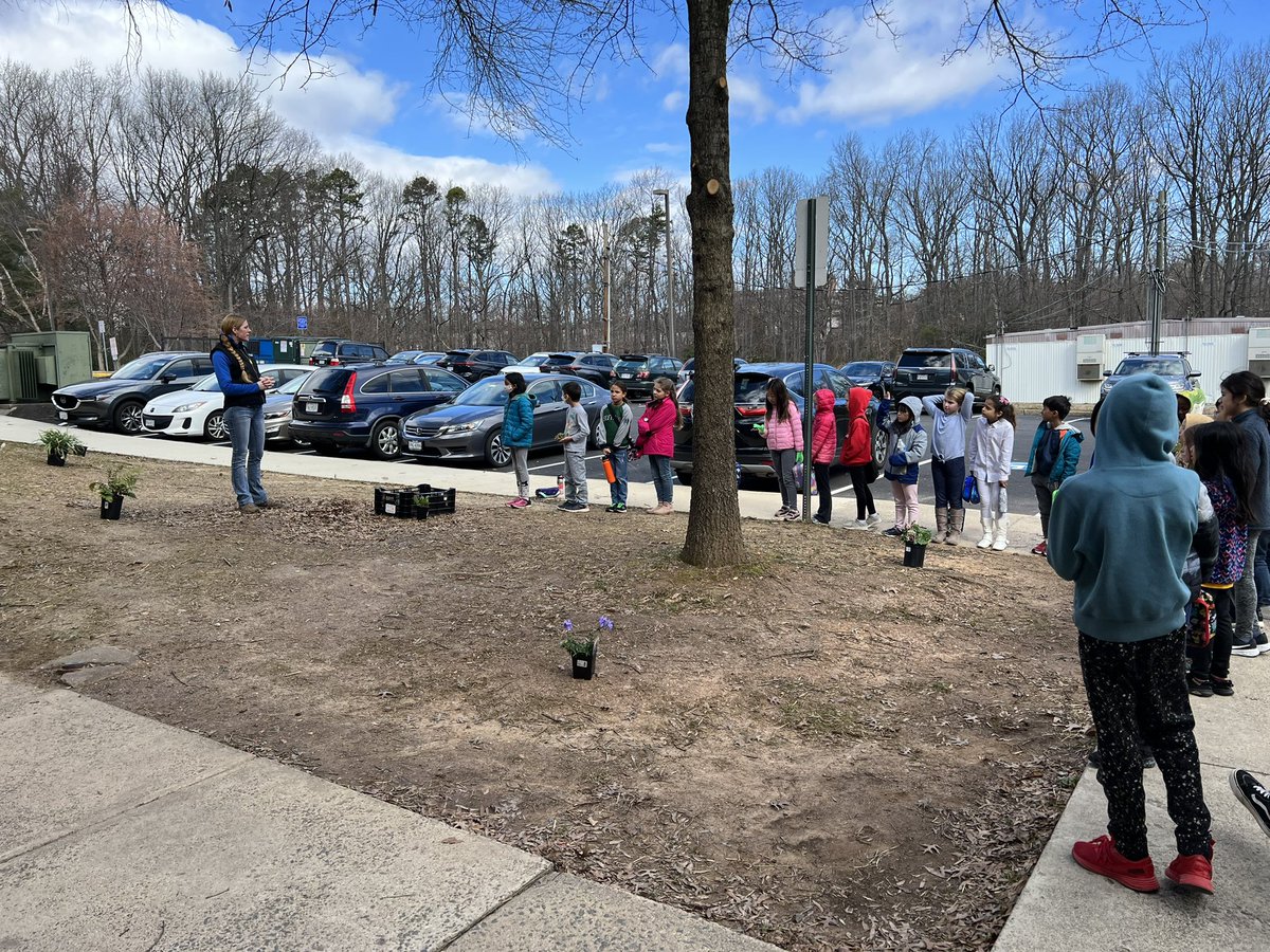 OwensOgres's tweet image. Another expert came to visit! A huge thanks to Caitlin from @MerrifieldGC for teaching us all about native plants. We love your suggestions for our shade garden and can’t wait to design a solution to help prevent erosion. We love our VA Bluebell. #learningshouldbefun