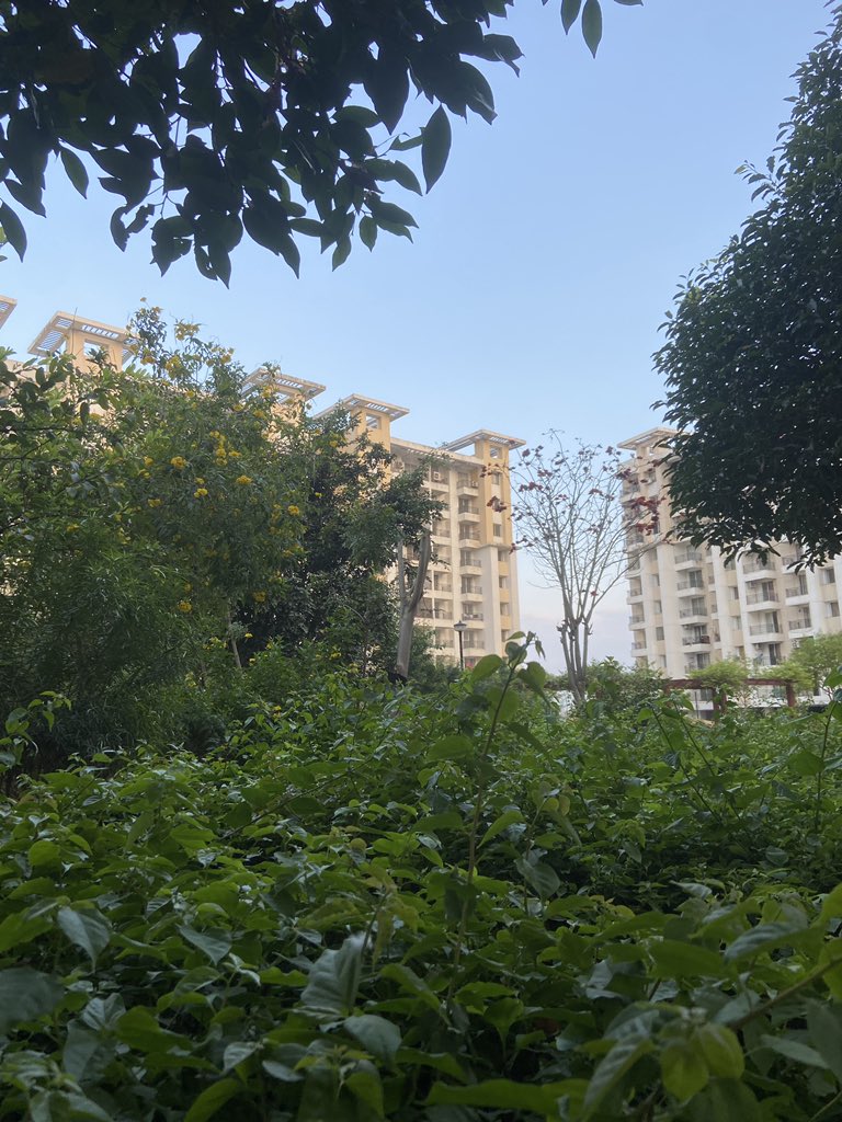 abh1nuv's tweet photo. Morning Run https://t.co/7GU5mz58As