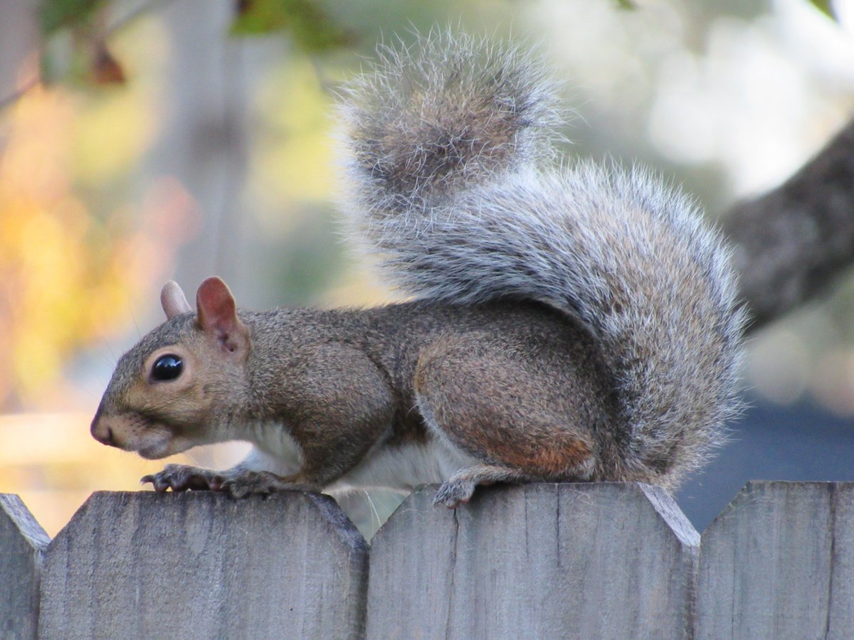 On your mark.  Get set.  Go ~ 🏁