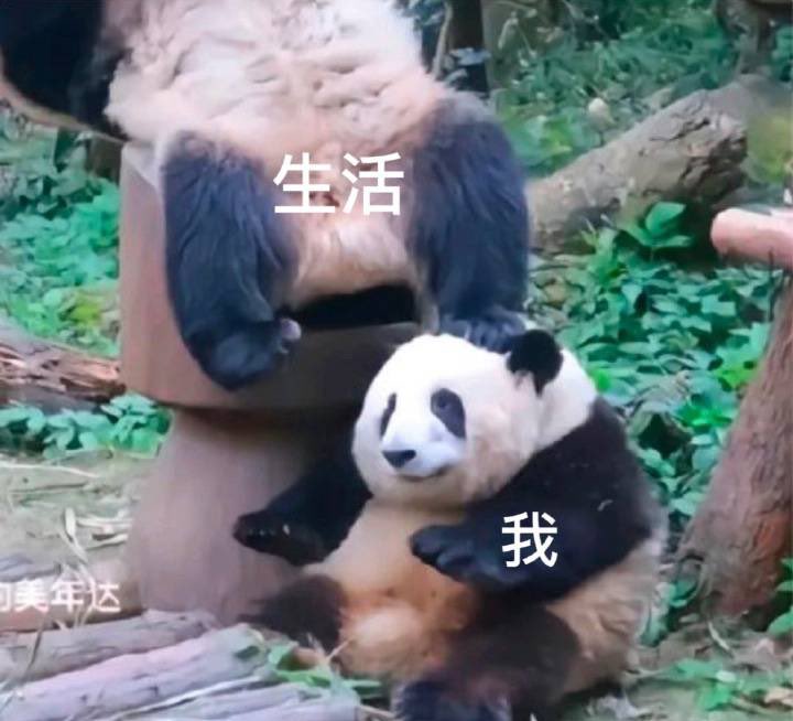 vivibb0101's tweet photo. 喉咙吞刀片🥺🥺🥺 https://t.co/03JoIF97nz