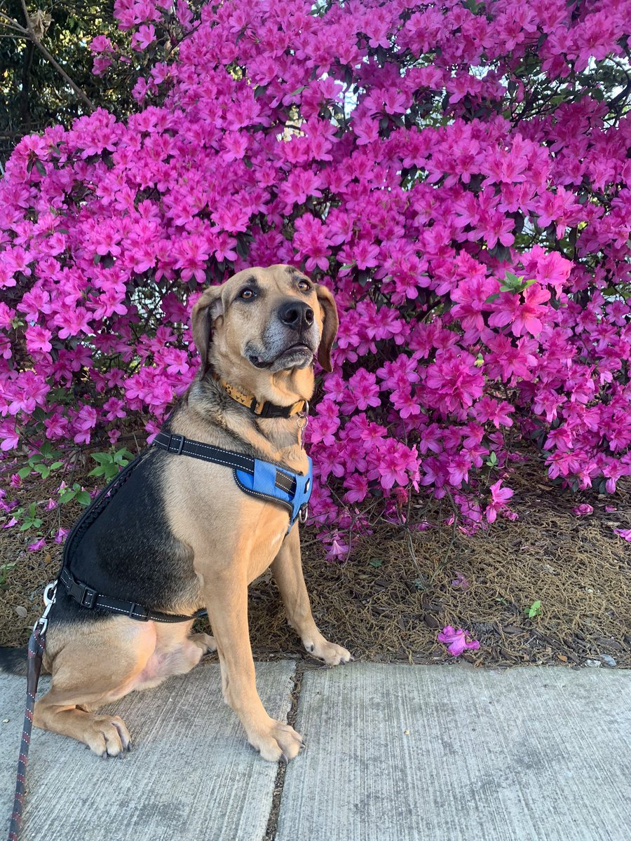 Sam Karlin tweet media