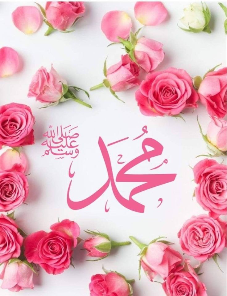 gullafrose's tweet photo. ﷴﷺﷴﷺﷴﷺﷴﷺﷴﷺﷴﷺﷴﷺﷴﷺﷴﷺﷴﷺﷴﷺﷴﷺﷴﷺﷴﷺﷴﷺﷴﷺﷴﷺﷴﷺﷴﷺﷴﷺﷴﷺﷴﷺﷴﷺﷴﷺﷴﷺﷴﷺﷴﷺﷴﷺﷴﷺﷴﷺﷴﷺﷴﷺﷴﷺﷴﷺﷴﷺﷴﷺﷴﷺﷴﷺﷴﷺﷴﷺﷴﷺﷴﷺﷴﷺﷴﷺﷴﷺﷴﷺﷴﷺﷴﷺﷴﷺﷴﷺﷴﷺﷴﷺﷴﷺﷴﷺﷴﷺﷴﷺﷴﷺﷴﷺﷴﷺﷴﷺﷴﷺﷴﷺﷴﷺﷴﷺ https://t.co/lui6pAXDtN